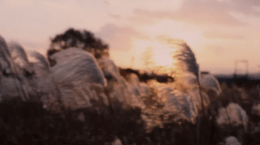 original screen shot